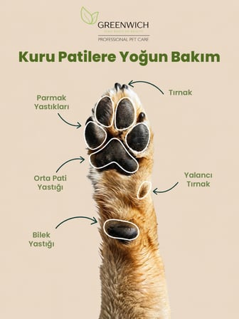  Kedi ve Köpek Pati Temizleme Köpüğü 150 ml – Durulama Gerektirmeyen Vegan Temizleme Köpüğü | Günlük Pati Hijyeni ve Pratik Bakım Desteği