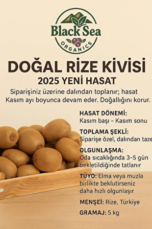 Taze Küçük Boy  Rize Kivi Meyvesi 5 KG – 2025 Yeni Hasat
