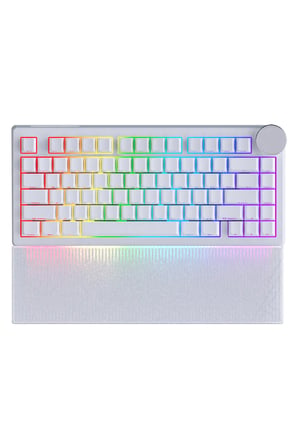 AK820 V2 Manyetik Switch Kablolu Oyuncu Klavyesi 8000Hz Rapid Trigger RGB - Yarı Saydam Bilek Desteği