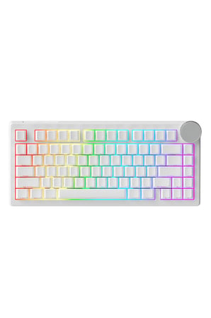 AK820 V2 Manyetik Switch Kablolu Oyuncu Klavyesi 8000Hz Rapid Trigger RGB - Yarı Saydam Bilek Desteği
