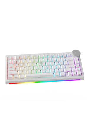 AK820 V2 Manyetik Switch Kablolu Oyuncu Klavyesi 8000Hz Rapid Trigger RGB - Yarı Saydam Bilek Desteği