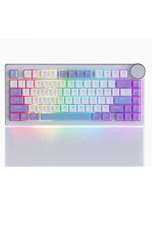 AK820 V2 Manyetik Switch Kablolu Oyuncu Klavyesi 8000Hz Rapid Trigger RGB - Yarı Saydam Bilek Desteği