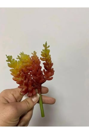 Succulent Kaktüs Islak Doku Yapay Çiçek 15 cm Turuncu