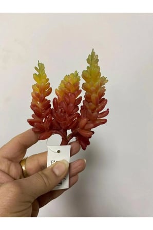 Succulent Kaktüs Islak Doku Yapay Çiçek 15 cm Turuncu