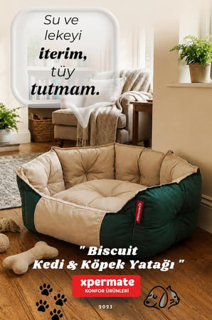Kedi Yatağı Köpek Yatağı Kedi Ve Köpek Minderi Tüy Tutmayan Su İ̇Tici Kumaş Biscuit 60X55X28 Yeşil Bej