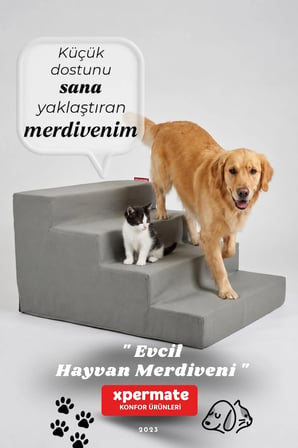 Köpek Merdiveni Kedi Merdiveni 4 Basamaklı Evcil Hayvan Merdiveni Antrasit