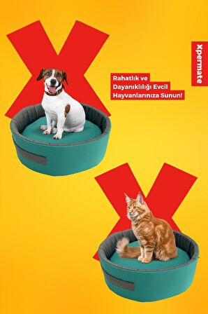 XPERMATE Sünger Simit Küçük Irk Köpek Yatağı Ve Kedi Yatağı 45 Cm Turkuaz Antrasit