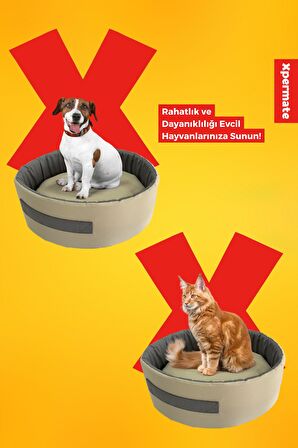 XPERMATE Sünger Simit Küçük Irk Köpek Yatağı Ve Kedi Yatağı 45 Cm Bej Antrasit