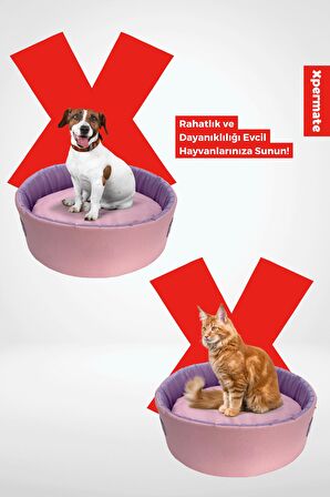 XPERMATE Sünger Simit Küçük Irk Köpek Yatağı Ve Kedi Yatağı 45 Cm Pembe Lila