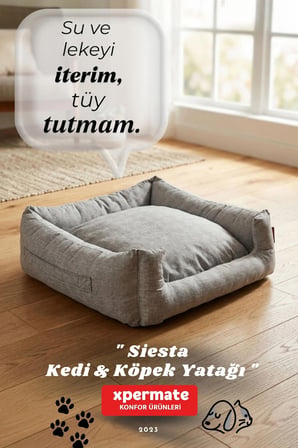 Kedi Yatağı Ve Köpek Yatağı 55X60X23 Fermuarlı Evcil Hayvan Yatağı Yuvi Siesta 55X60X23 Gri 
