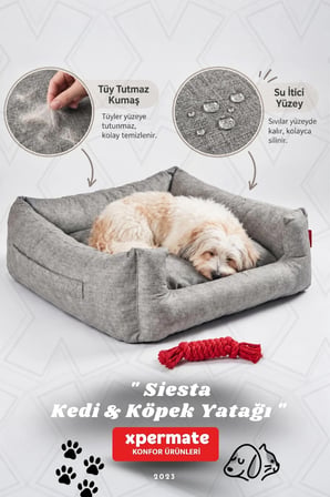 Kedi Yatağı Ve Köpek Yatağı 55X60X23 Fermuarlı Evcil Hayvan Yatağı Yuvi Siesta 55X60X23 Gri 