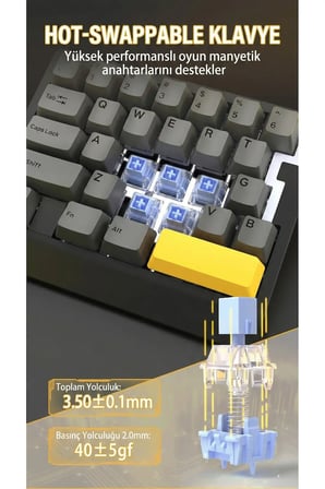 AK029 Tek El Kablolu Manyetik Switch Oyun Klavyesi- RGB-29 Tuş-8000 Hz