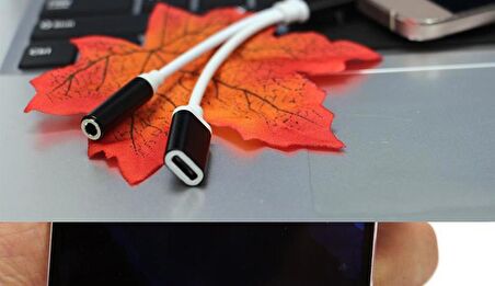 Type C To 3.5mm Stereo Kulaklık Şarj Çevirici Dönüştürücü Adaptör