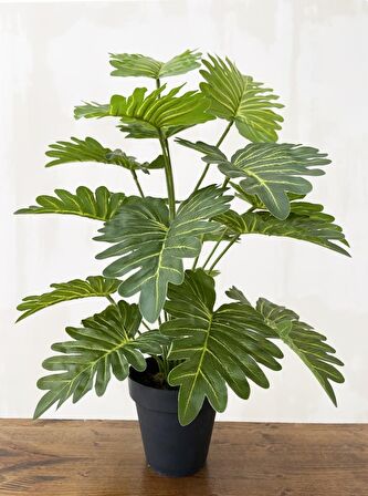 Yapay Ağaç Salon Bitkisi Syngonium 70 cm 18 Yaprak Antrasit Saksıda