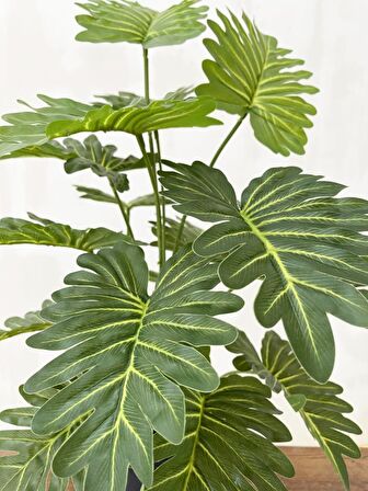Yapay Ağaç Salon Bitkisi Syngonium 70 cm 18 Yaprak Antrasit Saksıda