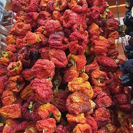 BenimAktar Kuru Dolmalık Biber Acı Antep 45-50 Arasi 1 Bağ