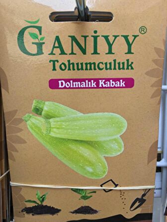 Ganiyy Dolmalık Kabak Tohumu Kaliteli Güvenilir