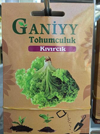 Ganiyy Kıvırcık Tohumu Kaliteli Güvenilir