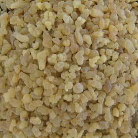 BenimAktar Ak Günlük Sığla Sakızı 1 Kg