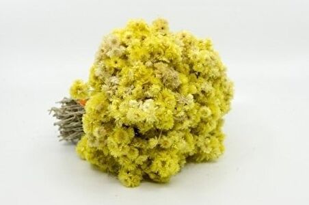 BenimAktar Altın Otu 250 Gr