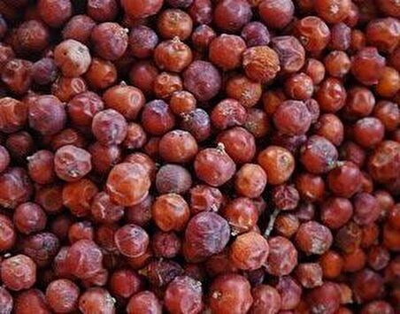 BenimAktar Ardıç Tohumu 500 Gr