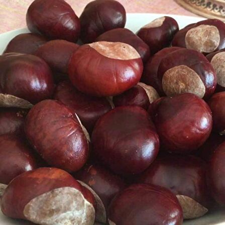 BenimAktar At Kestanesi 250 Gr