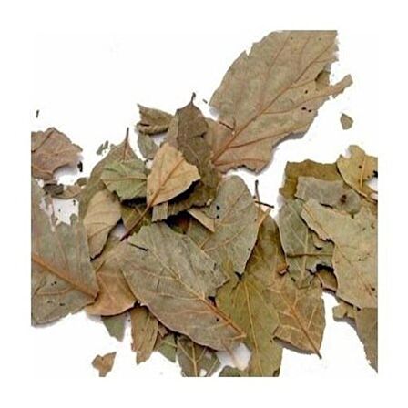 BenimAktar Avokado Yaprağı 1 Kg