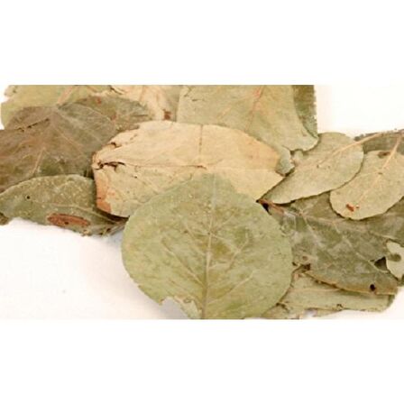 BenimAktar Ayva Yaprağı 1 Kg