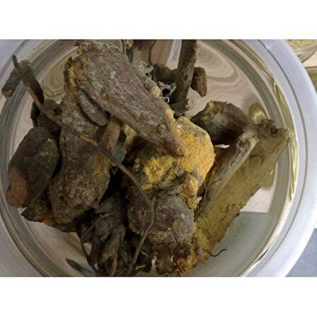 BenimAktar Böğürtlen Kökü 500 Gr