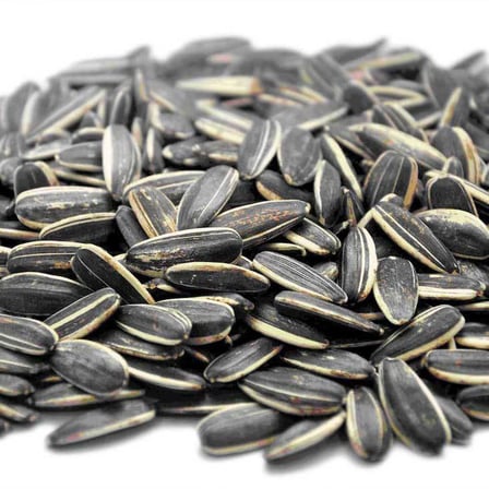 BenimAktar Çekirdek Dakota Kavrulmamış Tuzsuz 500 Gr