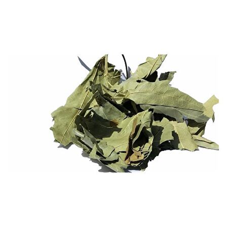 BenimAktar Çınar Yaprağı 500 Gr