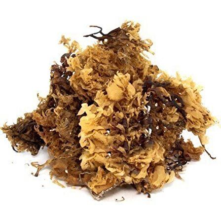 BenimAktar Deniz Kadayıfı 1 Kg