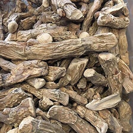 BenimAktar Hazanbel Kökü 1 Kg