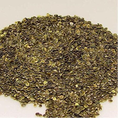 BenimAktar Isırgan Tohumu İlaçlık 250 Gr