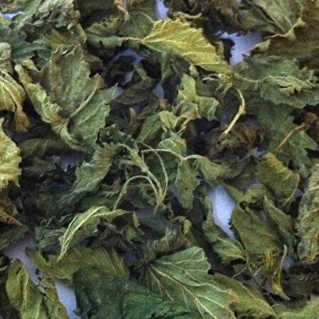 BenimAktar Isırgan Otu Yaprağı 250 Gr