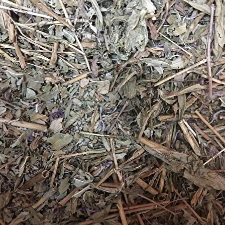 BenimAktar Kara Hindiba Yeni Mahsül 1 Kg