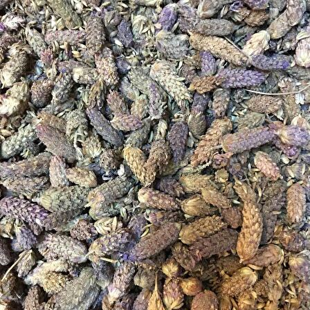 BenimAktar Karabaş Otu Yeni Mahsül 100 Gr