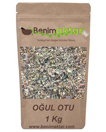 BenimAktar Oğul Otu 1 Kg