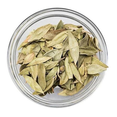 BenimAktar Mersin Yaprağı 1 Kg