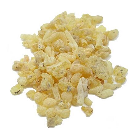 BenimAktar Sandaloz Sakızı 1 Kg