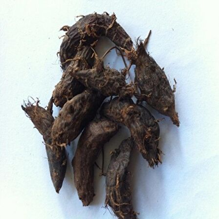 BenimAktar Topalak Yeni Mahsül 1 Kg