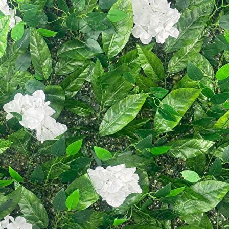 Yapay Çiçek Duvar Kaplama Yapay Duvar Çiçeği 1M2 100*100CM Panel Şimşir Yapay Çiçekli Duvar 