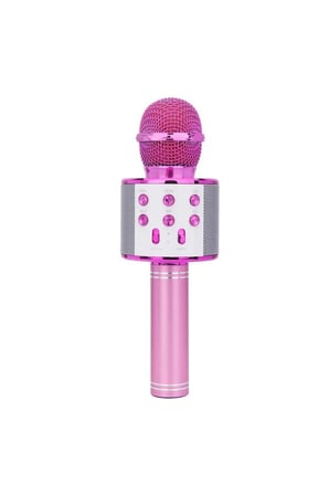 WS-858 Karaoke Mikrofon Aux Usb Ve Sd Kart Girişli Bluetooth Hoparlör 