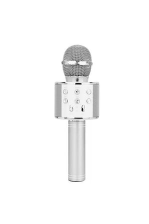 WS-858 Karaoke Mikrofon Aux Usb Ve Sd Kart Girişli Bluetooth Hoparlör 