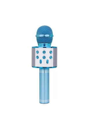 WS-858 Karaoke Mikrofon Aux Usb Ve Sd Kart Girişli Bluetooth Hoparlör 