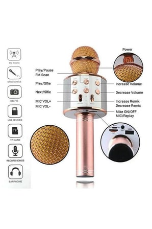 WS-858 Karaoke Mikrofon Aux Usb Ve Sd Kart Girişli Bluetooth Hoparlör 