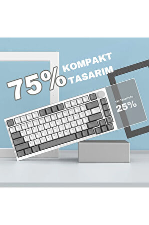 AK820 Kablolu Mekanik Oyun Klavyesi , Beyaz Işıklı, Beyaz-Gri, 82 Tuş, Hot Swap, Anti Ghosting