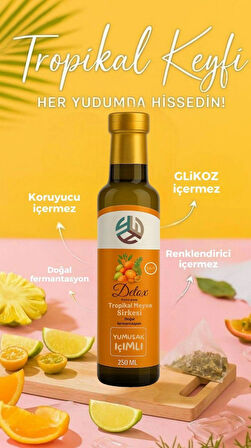 Promar DETOX TROPİKAL MEYVE SİRKESİ 250 ML +MİX DETOX SİRKESİ 250 ML