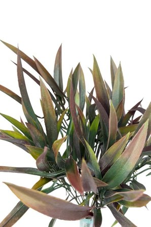 Yapay Çiçek Bambu Grass Kahverengi 40cm Demet Garnitür Aradal Dekoratif Yapay Bitki