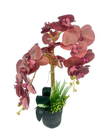 Yapay Çiçek 2li Islak Pastel Bordo Orkide Seramik Saksıda Orkide 60cm